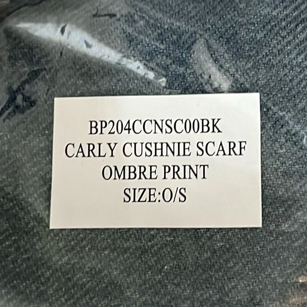 Cushnie Womens Carlie Scarf One‎ Size Ombre 44X74 Polyester NWT